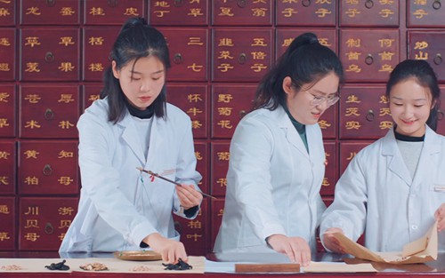 2023年四川五月花技師學(xué)院有哪些招生專(zhuān)業(yè)